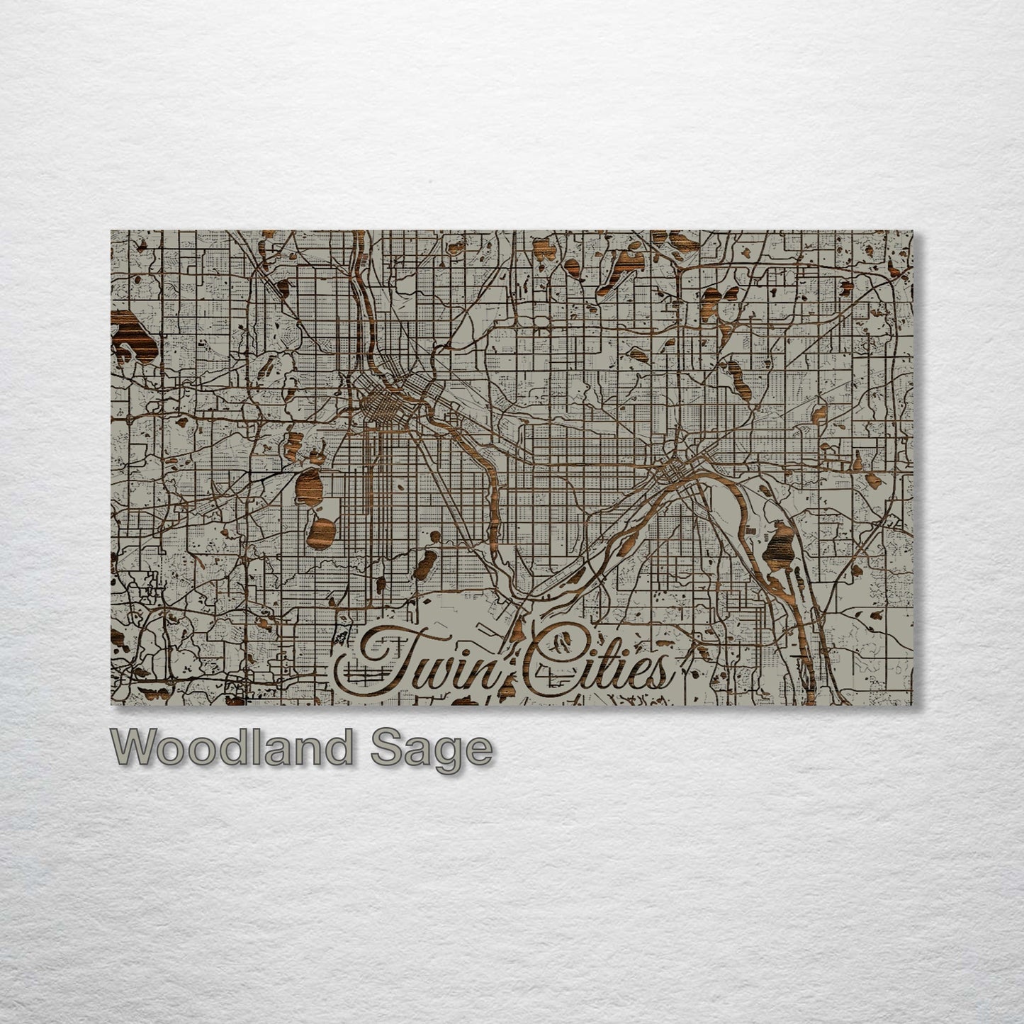 Twin Cities, Minnesota Street Map