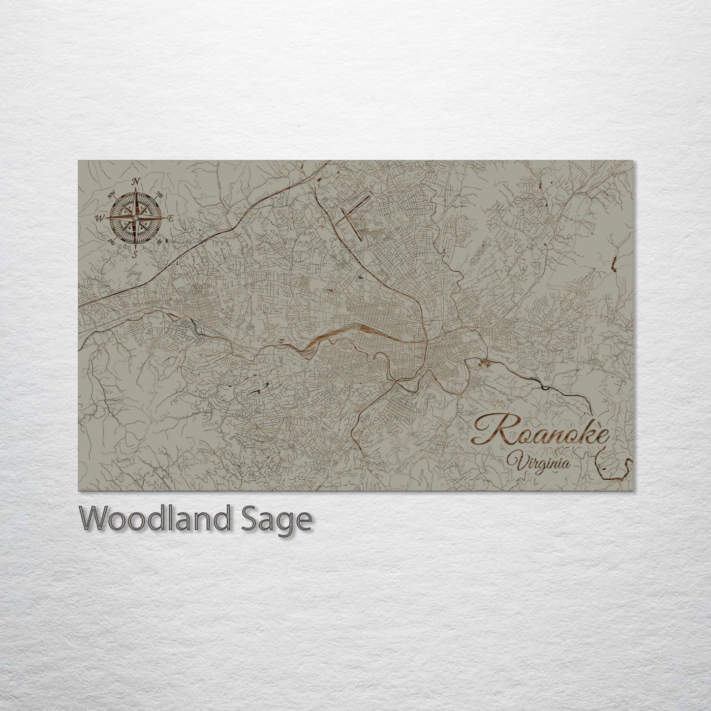 Roanoke, Virginia Street Map