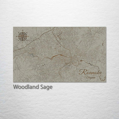 Roanoke, Virginia Street Map