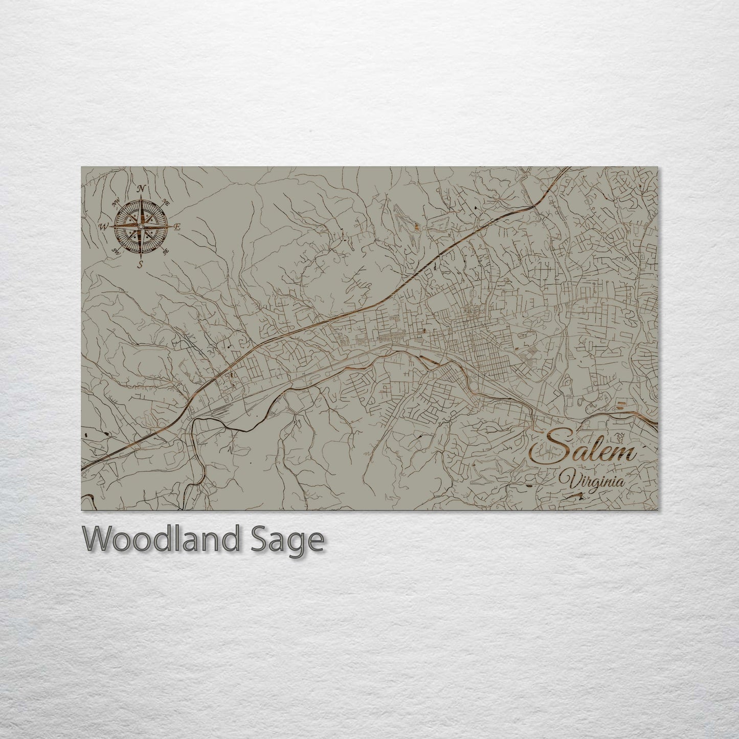 Salem, Virginia Street Map