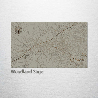 Salem, Virginia Street Map