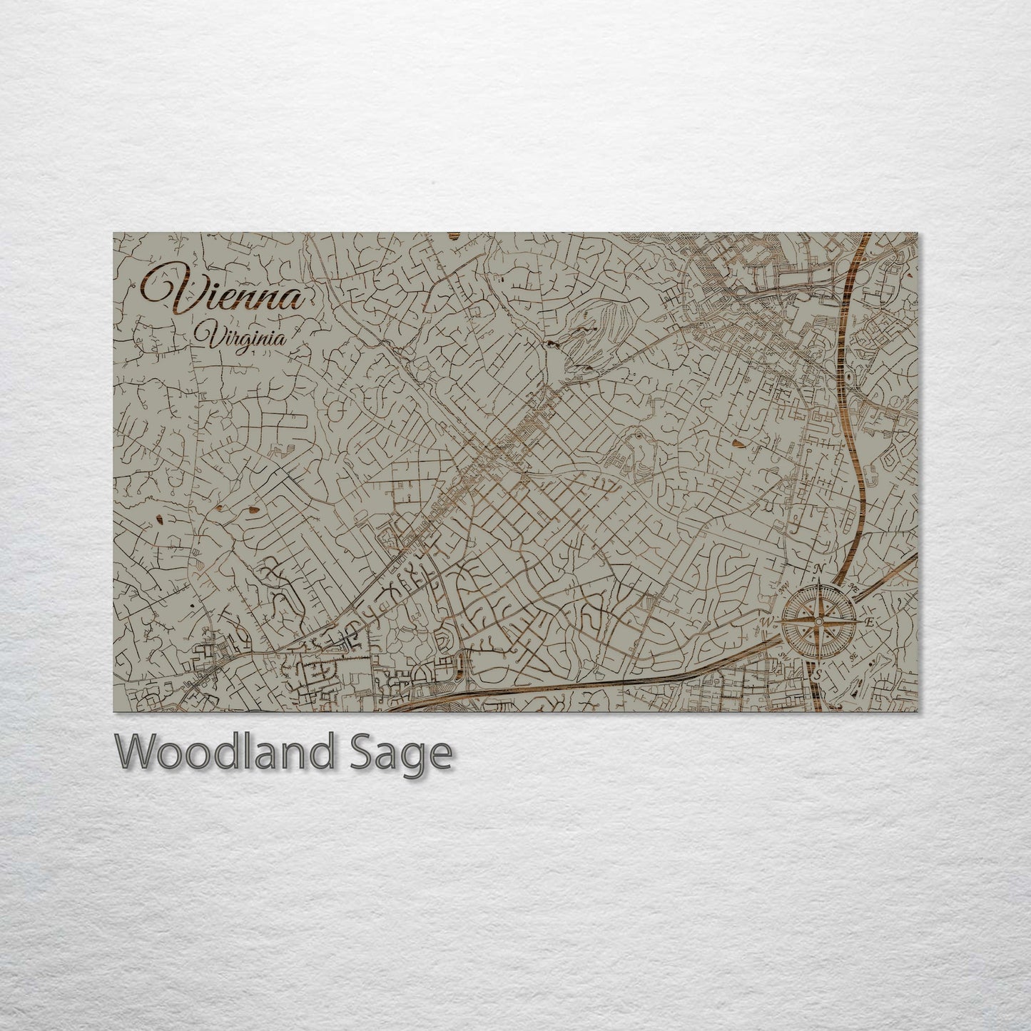 Vienna, Virginia Street Map