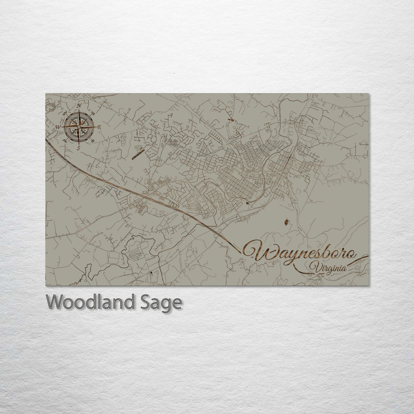 Waynesboro, Virginia Street Map