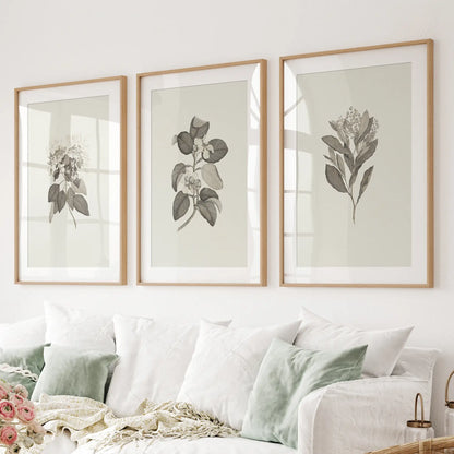 Antique Floral Prints 3 Piece Wall Art Decor