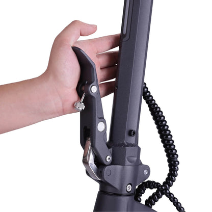 VSETT 9+ Apex Electric Scooter