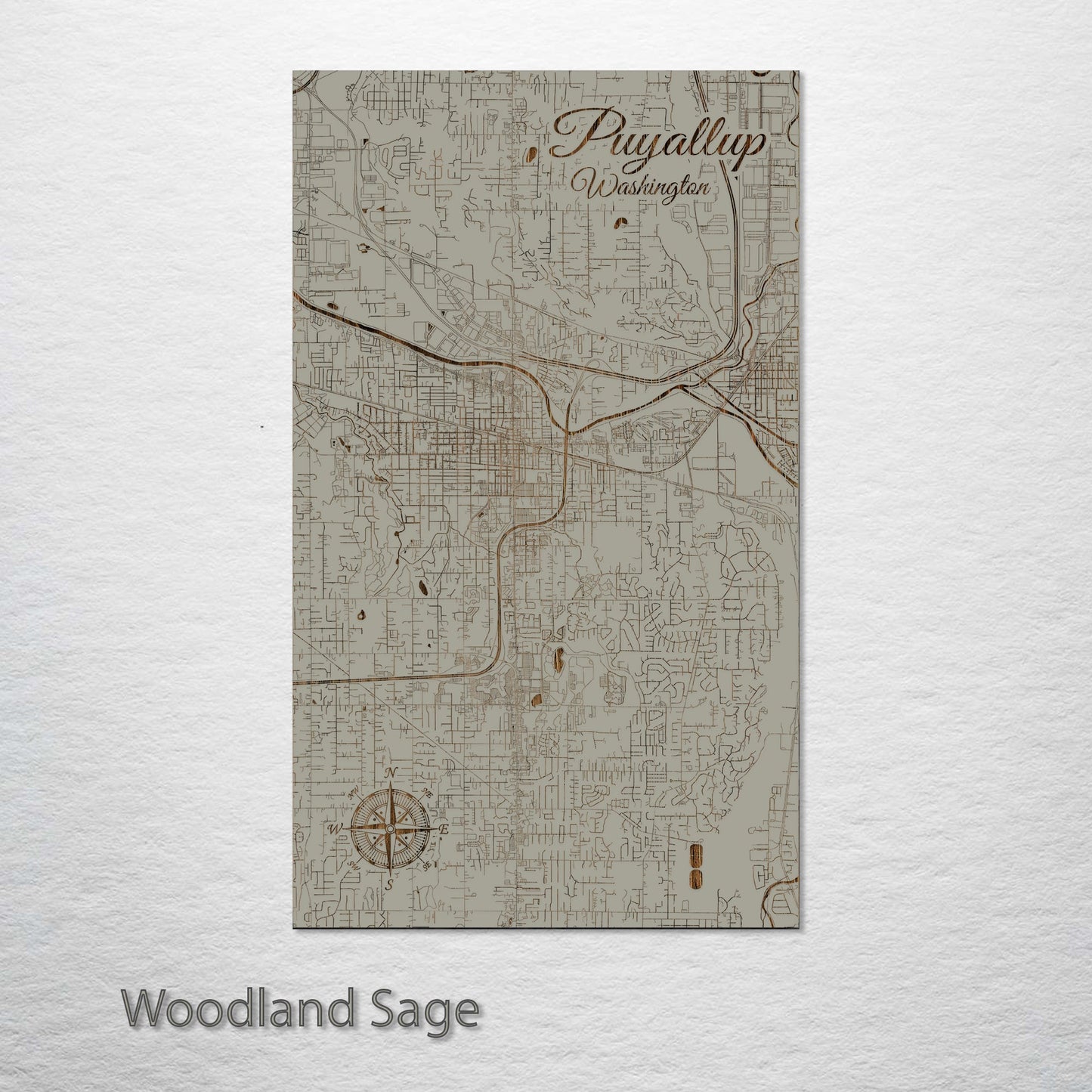 Puyallup, Washington Street Map