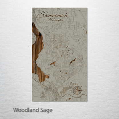 Sammamish, Washington Street Map