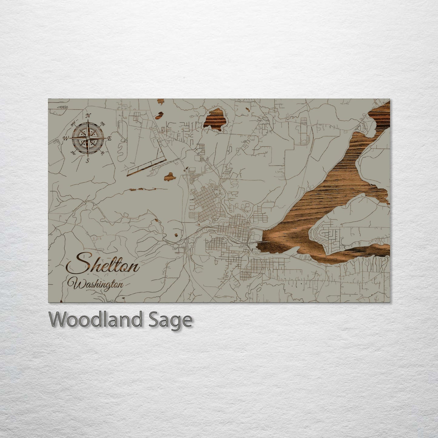 Shelton, Washington Street Map