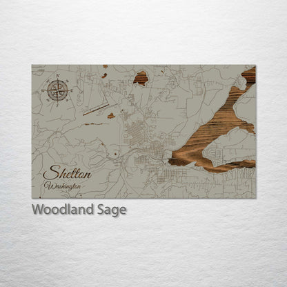 Shelton, Washington Street Map