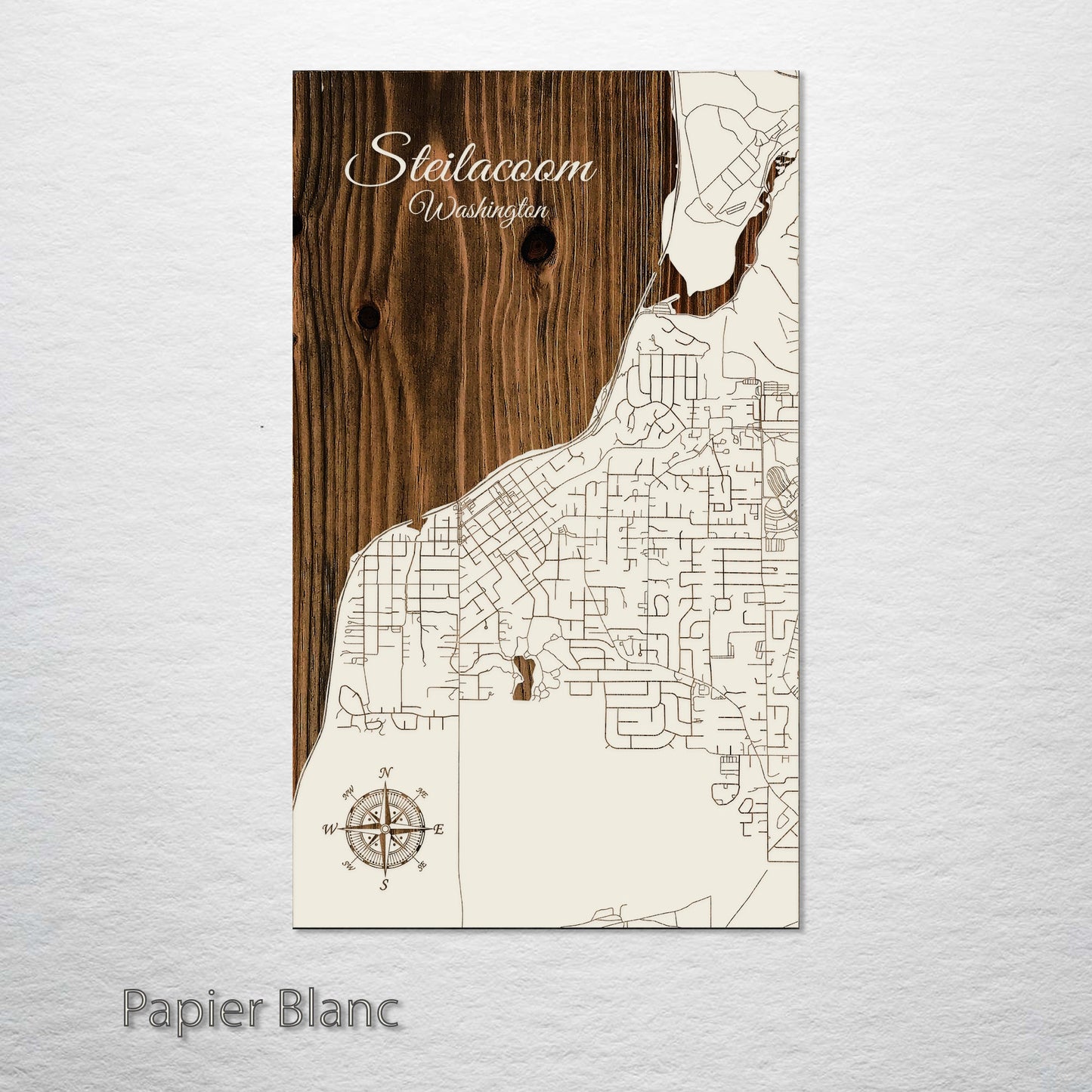 Steilacoom, Washington Street Map