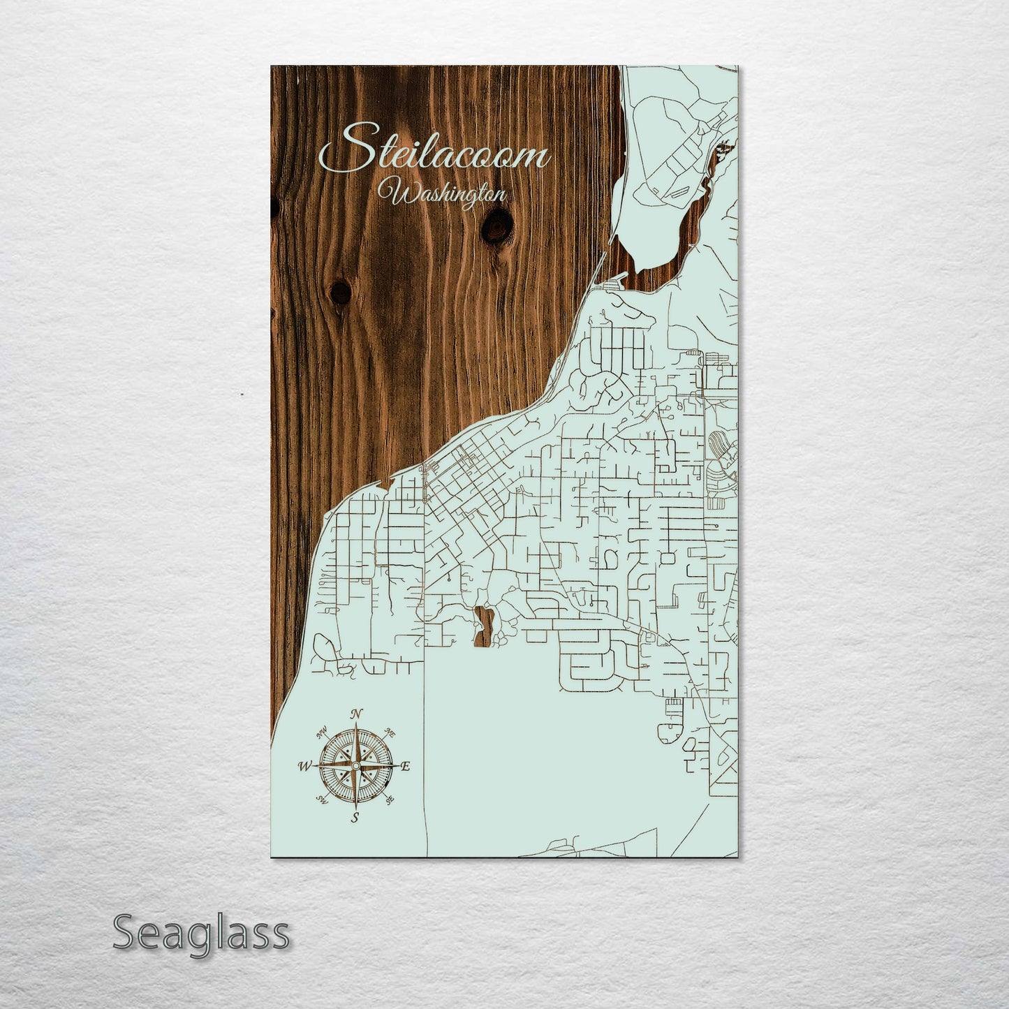 Steilacoom, Washington Street Map