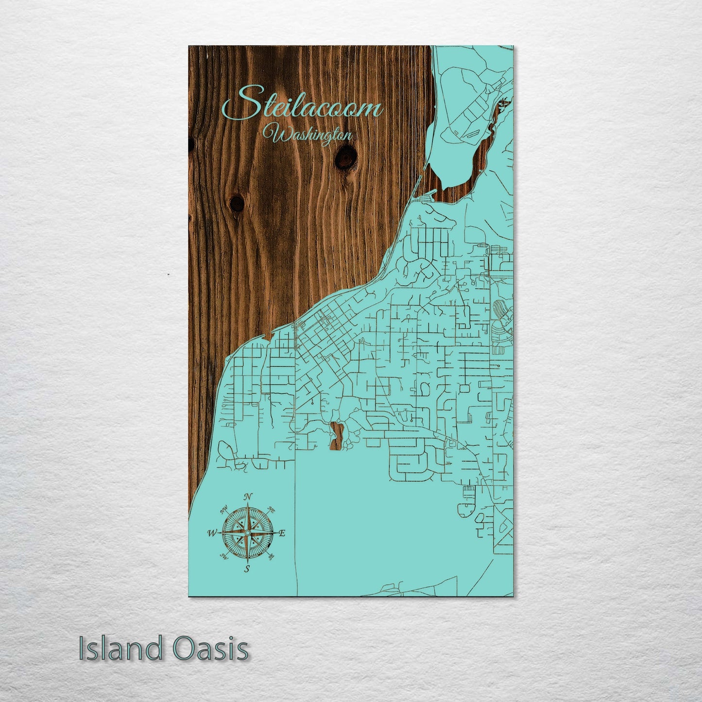 Steilacoom, Washington Street Map