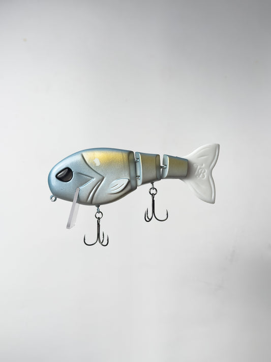 "Golden Baitfish" WakeWalker