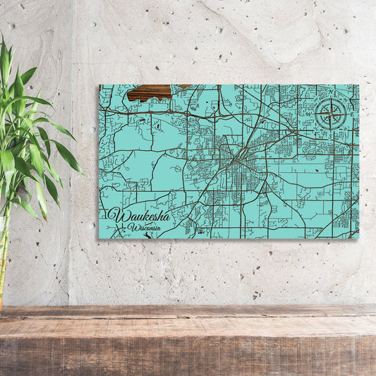 Waukesha, Wisconsin Street Map