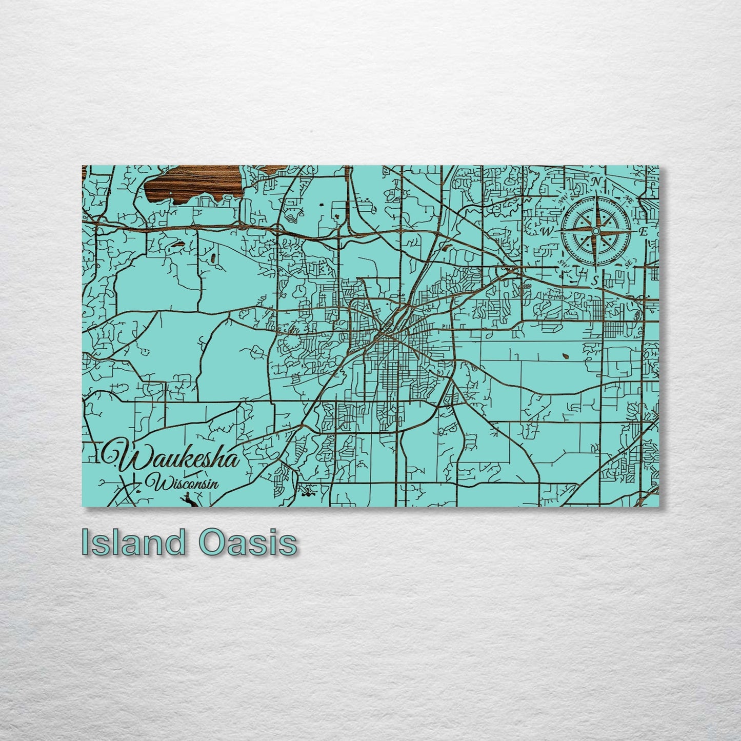 Waukesha, Wisconsin Street Map