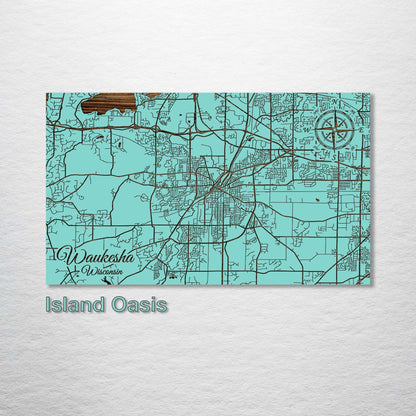 Waukesha, Wisconsin Street Map