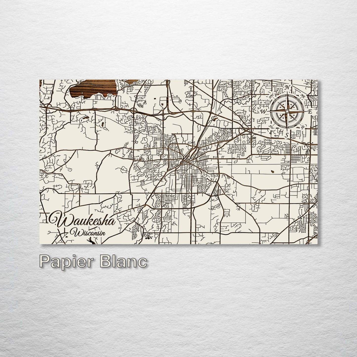 Waukesha, Wisconsin Street Map