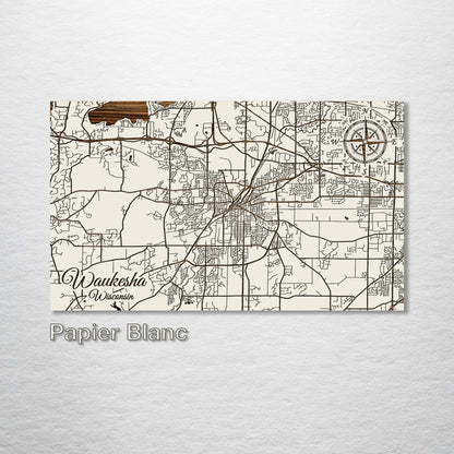 Waukesha, Wisconsin Street Map