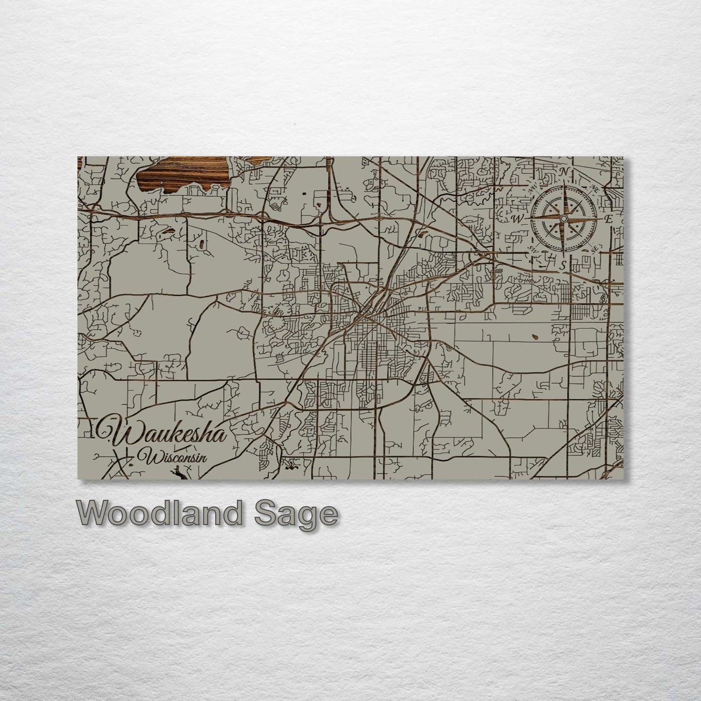 Waukesha, Wisconsin Street Map