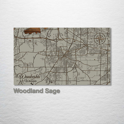 Waukesha, Wisconsin Street Map