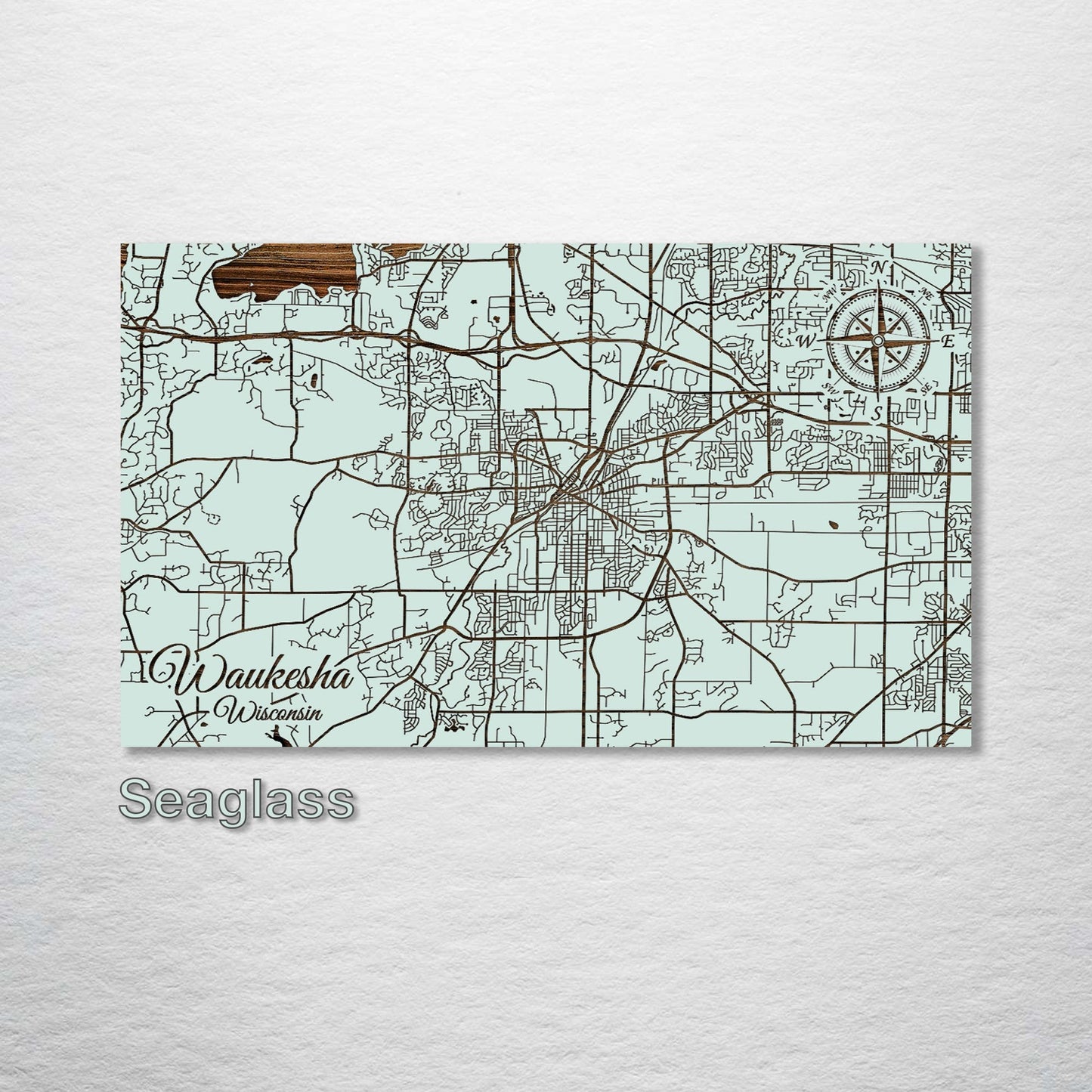 Waukesha, Wisconsin Street Map