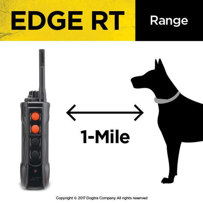 Dogtra Edge RT Additional Collar