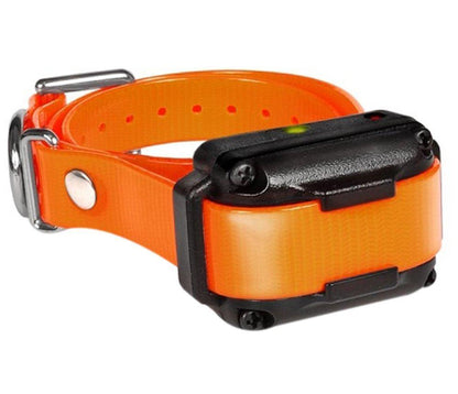 Dogtra IQ-Plus Additional Receiver Orange Strap