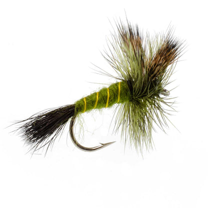 Western Green Drake Dry Fly - 12 Flies Size 10