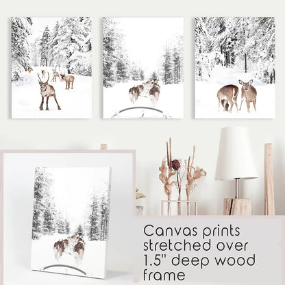 Winter Woodland Photo Set of 3. Fawn, Dog Sledding