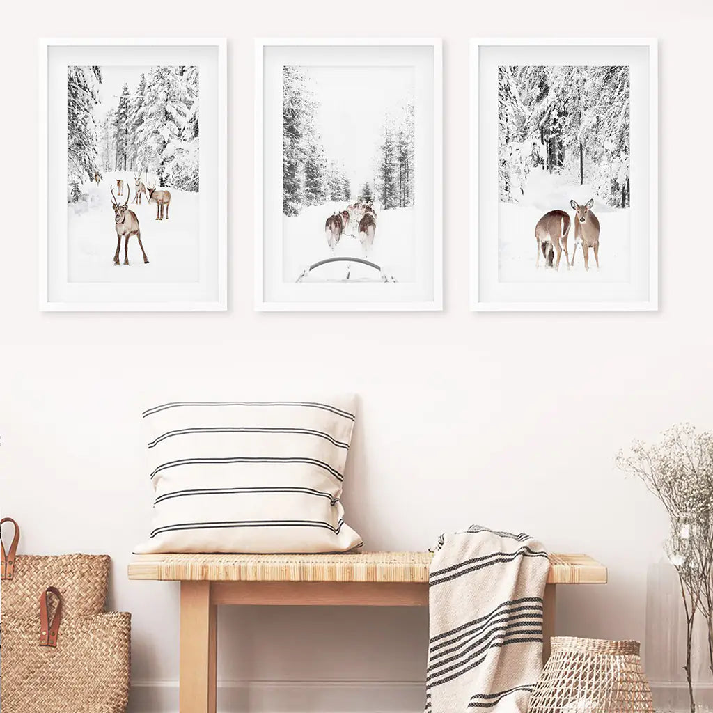 Winter Woodland Photo Set of 3. Fawn, Dog Sledding