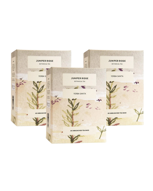 Yerba Santa Botanical Tea 3-Pack