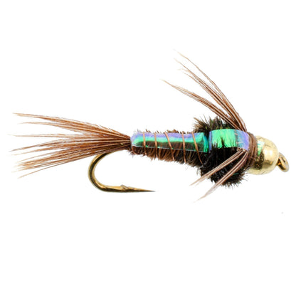 Tungsten Bead Head Flash Back Pheasant Tail Nymph 6 Flies Size 18