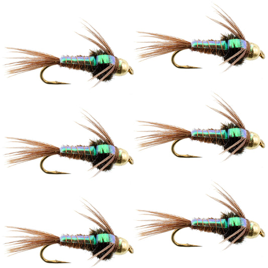 Tungsten Bead Head Flash Back Pheasant Tail Nymph 6 Flies Size 14