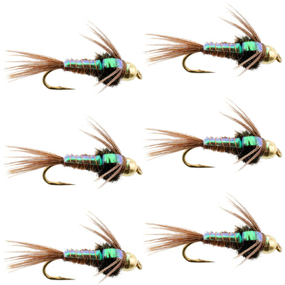 Tungsten Bead Head Flash Back Pheasant Tail Nymph 6 Flies Size 10