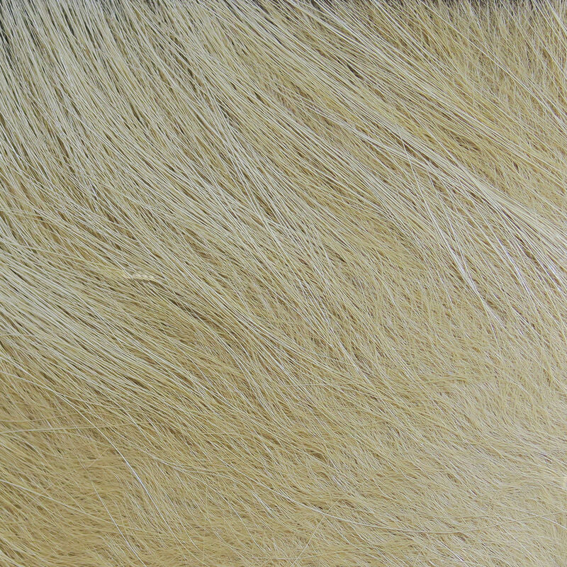 Arctic Fox Tail