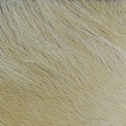 Arctic Fox Tail