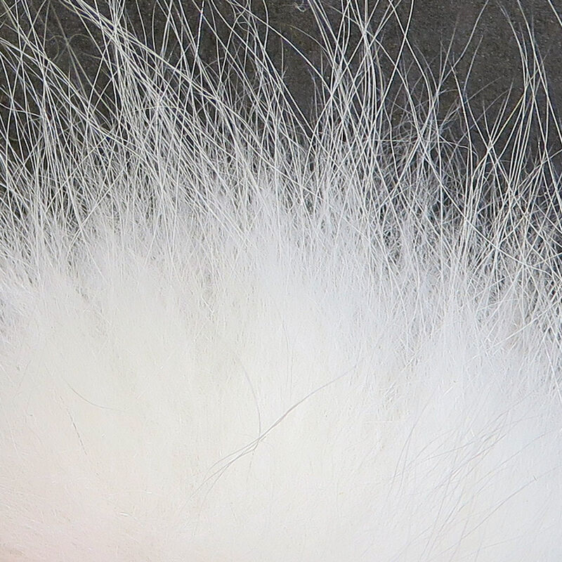 Arctic Fox Tail