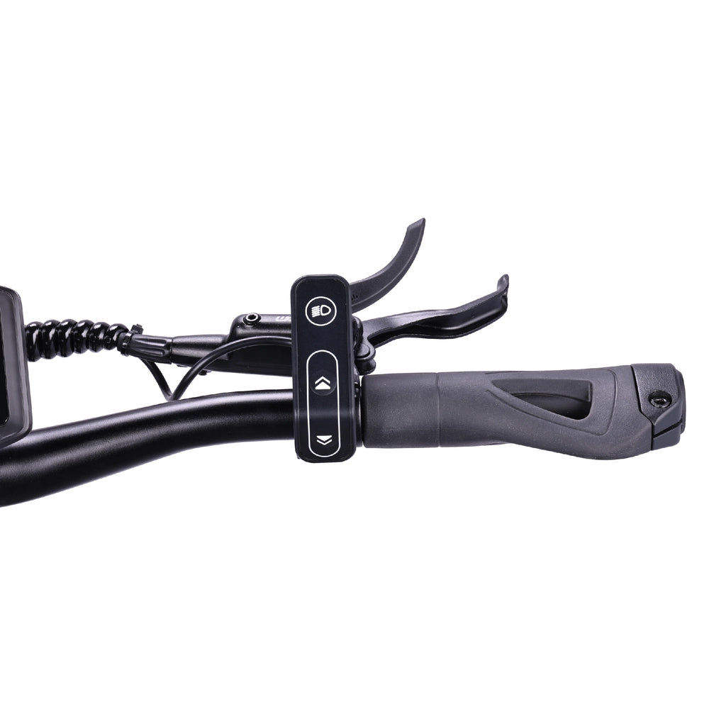 VSETT 10+ Apex Electric Scooter