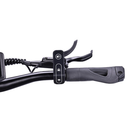 VSETT 10+ Apex Electric Scooter