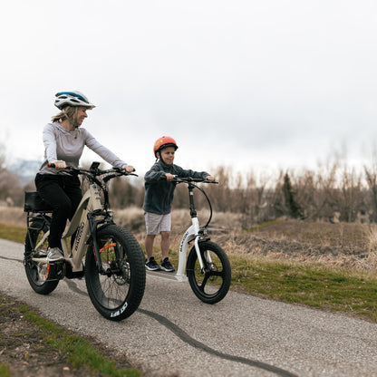 Badger Electric Scooter