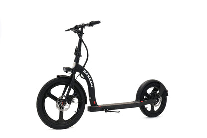 Badger Electric Scooter