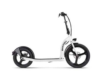 Badger Electric Scooter