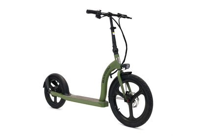 Badger Electric Scooter