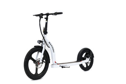 Badger Electric Scooter