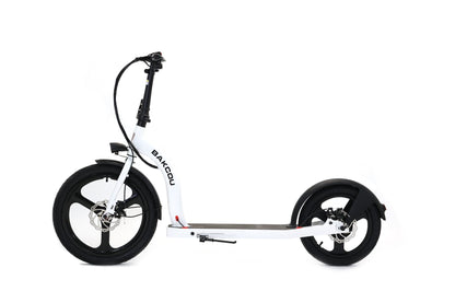 Badger Electric Scooter