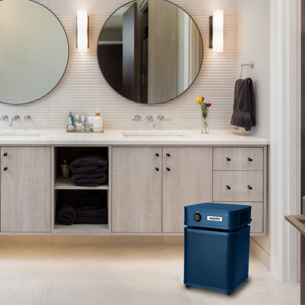 Austin Air Healthmate Jr. Air Purifier