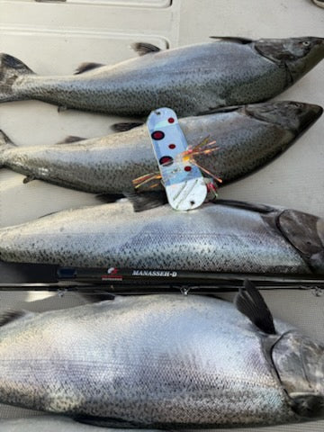 Ice Strong Outdoors - 8.5" Dual Fin Flasher Series - NEW 2026 Colors Released!