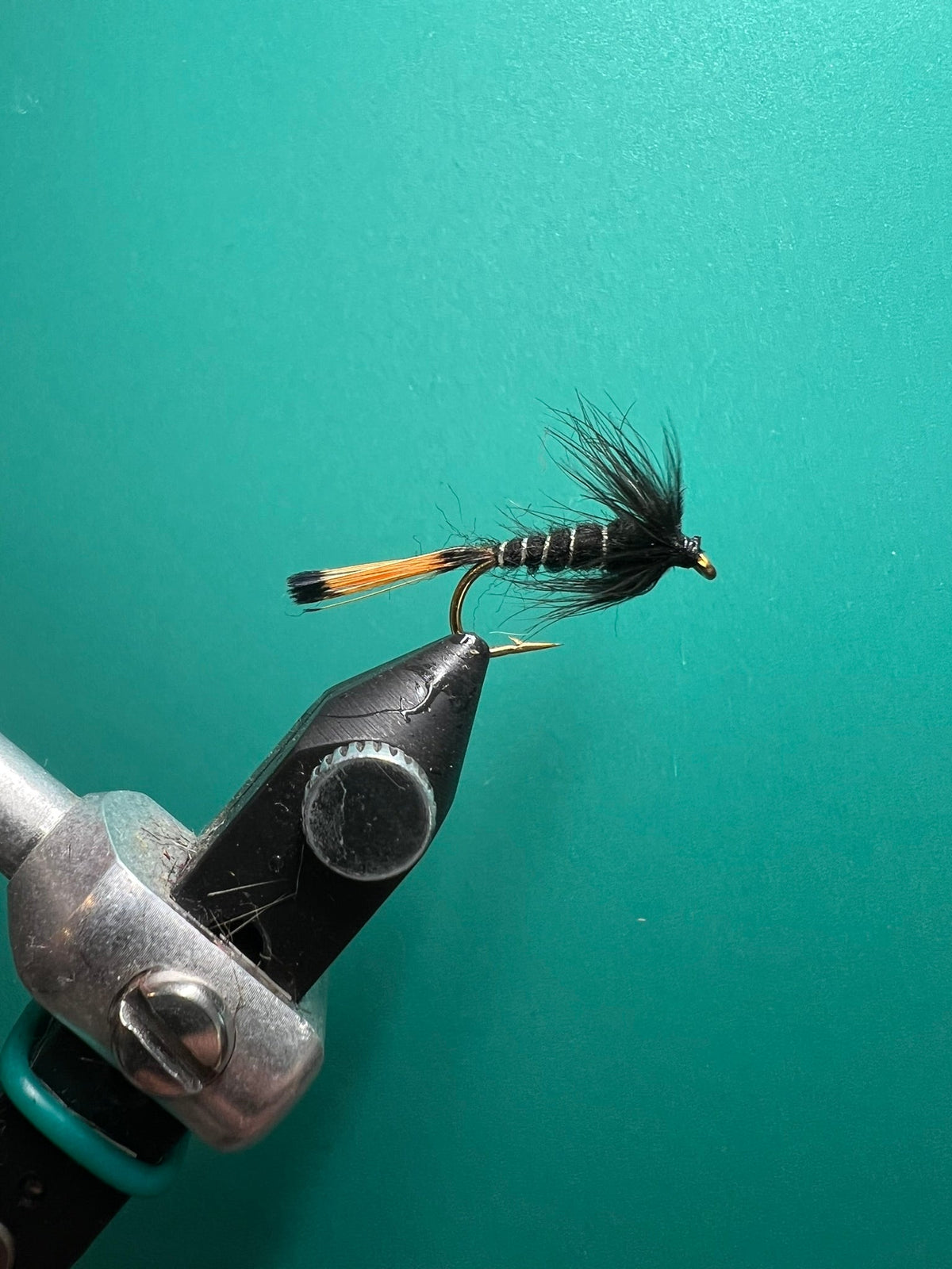 Black Pennel