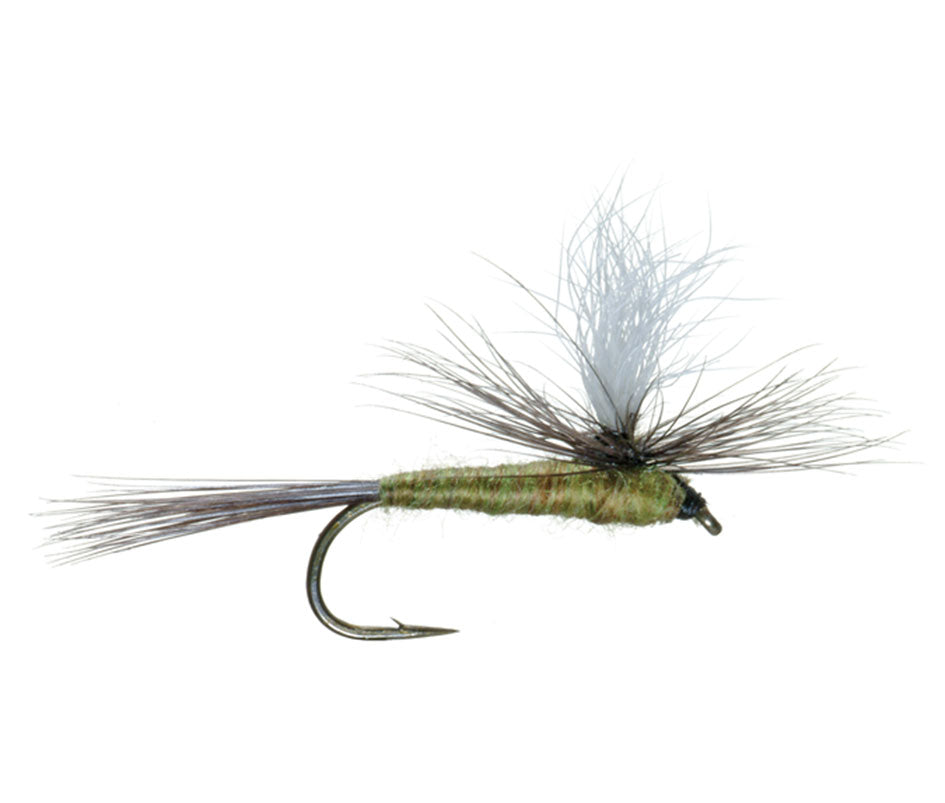 Blue Wing Olive BWO Parachute Dry Fly - 6 Flies Size 14