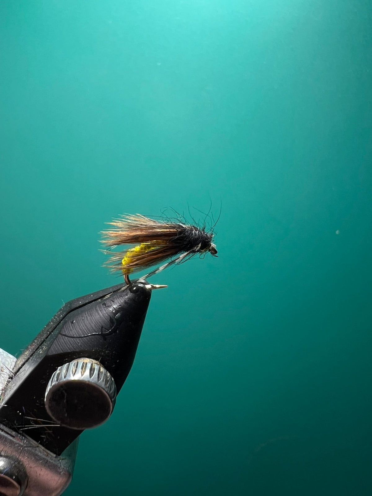 Caddis Pupa